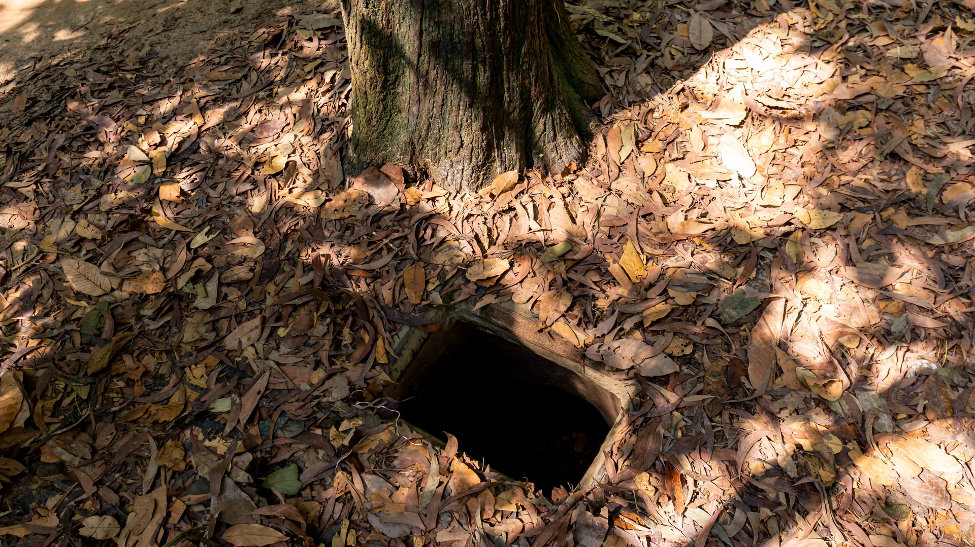 A person emerging from a hidden Cu Chi tunnel entrance